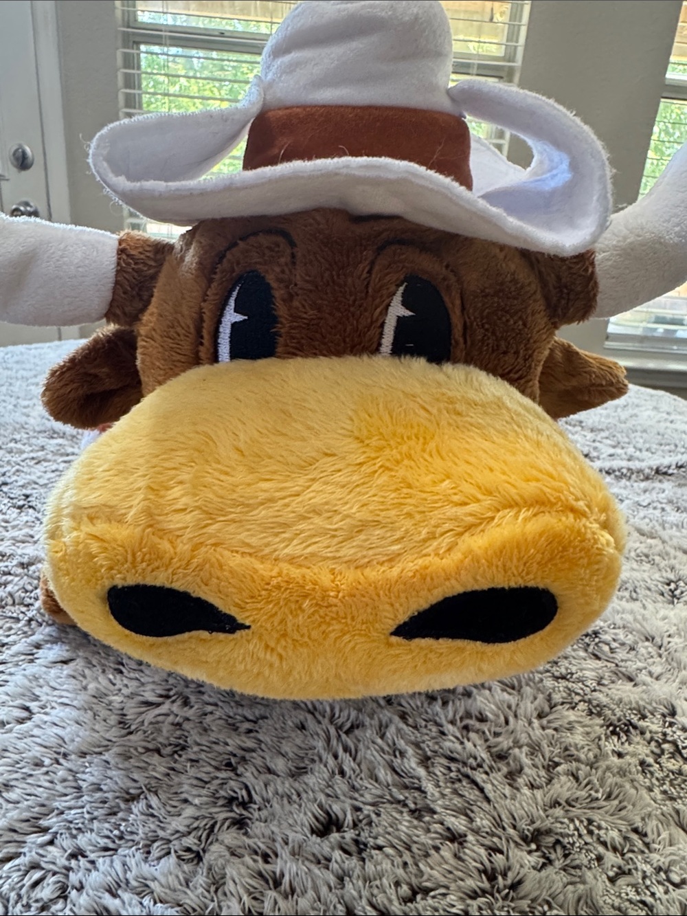 University of Texas Longhorns Plush Pillow Pet Bevo School Mascot NCAA Dorm Room